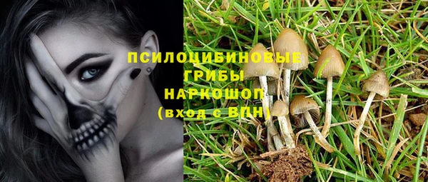 молекула духа Белокуриха
