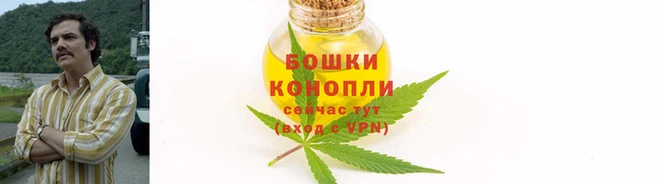 молекула духа Белокуриха