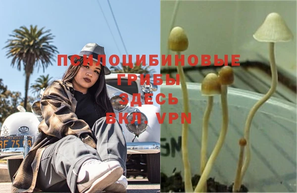мяу мяу кристалл Беломорск