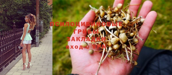 молекула духа Белокуриха