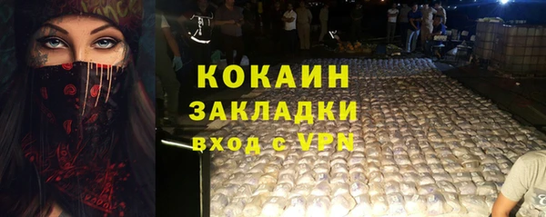 молекула духа Белокуриха