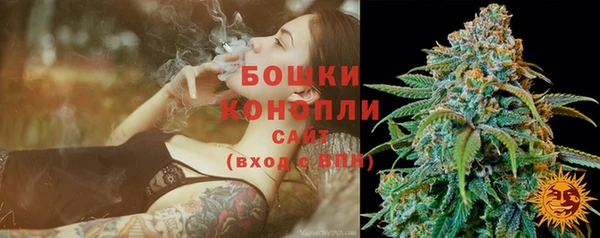 молекула духа Белокуриха