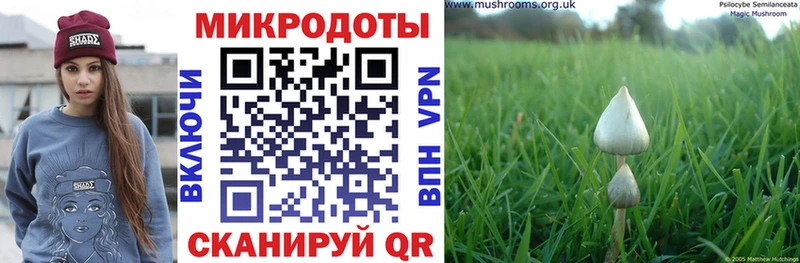 Галлюциногенные грибы мухоморы Елизово
