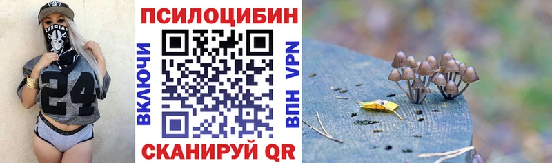 как найти закладки  Елизово  Псилоцибиновые грибы прущие грибы 